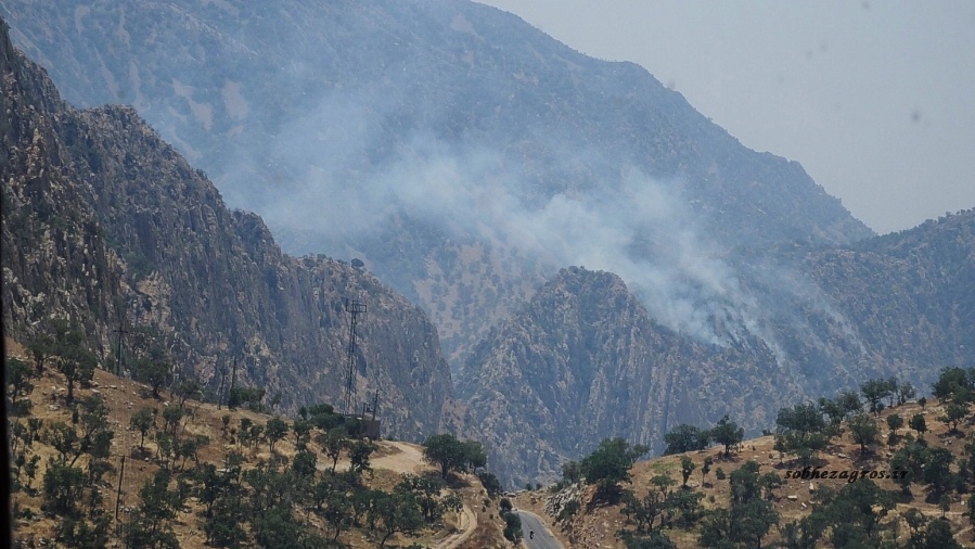 تصاویری از عملیات مهار آتش سوزی ارتفاعات شمال گچساران 68