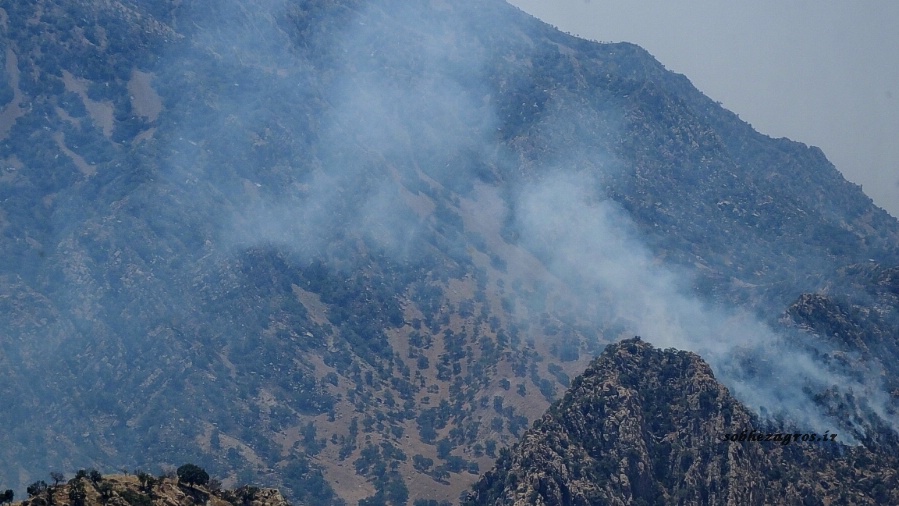 تصاویری از عملیات مهار آتش سوزی ارتفاعات شمال گچساران 69