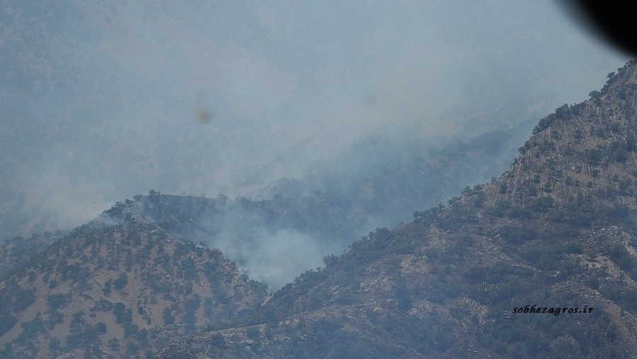 تصاویری از عملیات مهار آتش سوزی ارتفاعات شمال گچساران 77