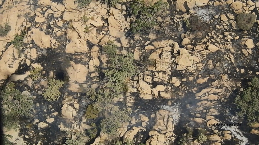 تصاویری از عملیات مهار آتش سوزی ارتفاعات شمال گچساران 80